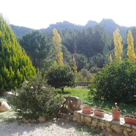 Cortijo Del Cuco Villa Riópar Екстериор снимка