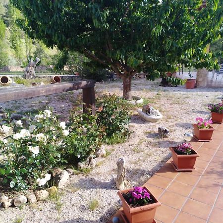 Cortijo Del Cuco Villa Riópar Екстериор снимка